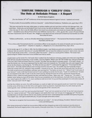 Torture through a 'child's' eyes: The hole at Hellzdale Prison - a report