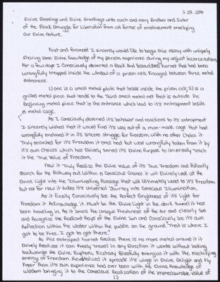 Divine blessings and divine greetings unto each and every brother and sister of the black struggle for liberation from all forms of enslavement enveloping our divine nature
