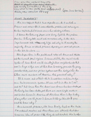 Prison minorities and racial inequality