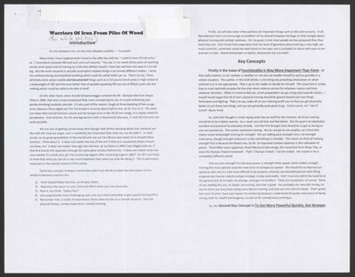 Warriors of iron from piles of wood