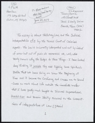 This essay is about statutory law