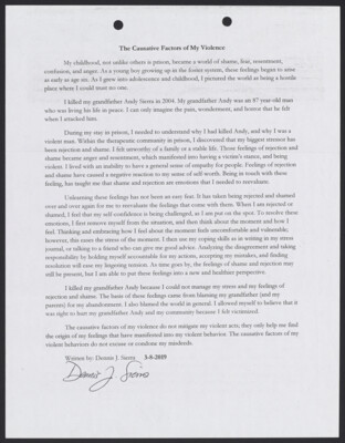 The causative factors of my violence