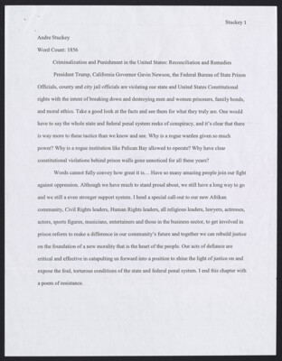 Criminalization and punishment in the United States