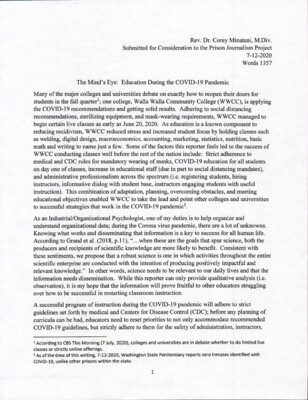 The mind's eye: Education during the COVID-19 pandemic