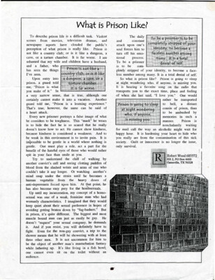 What is prison like?