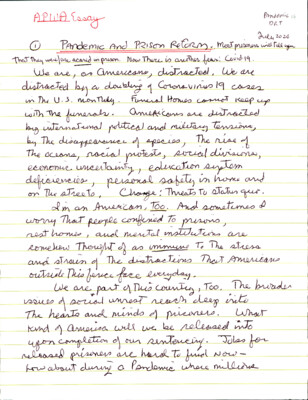 Pandemic and prison reform