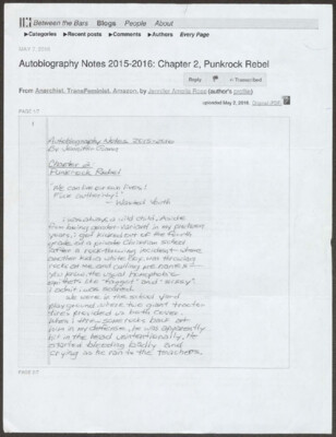 Autobiography notes 2015-2016: Chapter 2, Punkrock Rebel