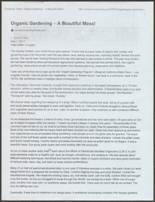 Organic gardening - a beautiful mess!