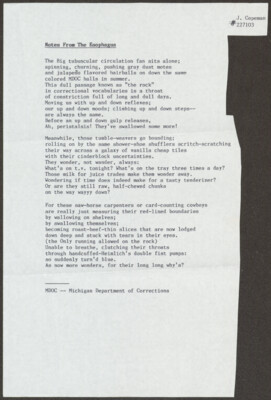 Notes from the esophagus